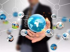 网络赋能，智慧监管 新区农产品质量安全的新范式