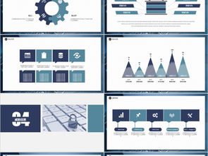 网络与信息安全 软件开发与商务沟通的基石